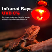 MIXJOY 100W Infrared Heat Lamp Bulbs, 2 Pack Reptile Infrared Heat Emitter Red Heat Lamp Bulbs Infrared Basking Light Bulbs for Reptiles, Bearded Dragon, Lizard, Tortoise, Chickens, Pets