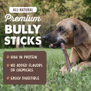 Mighty Paw 12" Bully Sticks for Dogs - Large, Medium and Small Dog Chew | Single Ingredient, Grass-Fed, Low Odor, 5 pk, High Protein, Boredom Buster