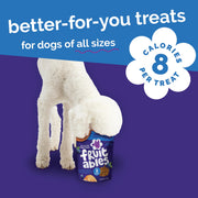 Fruitables Baked Dog Treats, Low Calorie Treats, Pumpkin & Blueberry, 12oz