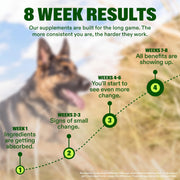 Wuffes Advanced Hip & Joint Chews for Large Breed Dogs, Vet Recommended, Glucosamine, Chondroitin, MSM, Green-Lipped Mussel, Hyaluronic Acid & Omega-3s. Supports Mobility & Flexibility. 30 Pork Chews