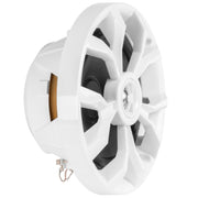 BELVA BBMS65W 400W Peak (200W RMS) 6.5" 2-Way White Coaxial Marine Speakers for Boats/ATV/UTV/SxS/Powersport