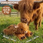 25" | 4.5 Pounds Highland Cow Weighted Stuffed Animals for Kid Adult, Microwavable Stuffed Animal Unscented, Cute Coolable Heatable Weighted Plush Warm Gifts for Christmas Birthday, Large Highland Cow