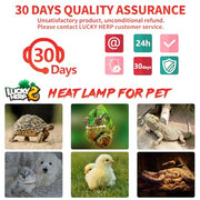 LUCKY HERP Reptile Heat Lamp - 100W Ceramic Heat Emitter Reptile Heat Lamp Bulbs (1 Pack), No Light Ceramic Heat Bulb, Heat Lamp for Reptiles Amphibian Chicken Pet Brooder Coop Lizard Turtle