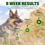 Wuffes Advanced Hip & Joint Chews for Large Breed Dogs, Vet Recommended, Glucosamine, Chondroitin, MSM, Green-Lipped Mussel, Hyaluronic Acid & Omega-3s. Supports Mobility & Flexibility. 30 Pork Chews