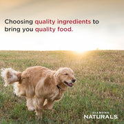 Diamond Naturals Skin & Coat Puppy, Adult & Senior Dry Dog Food Salmon 30lb | Real Salmon & Potato | Omega Fatty Acids Help Support Healthy Skin & Shiny Coat | Guaranteed Probiotics & Superfoods