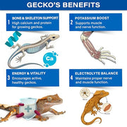 Gargeer 2.4oz Picky Geck 8 Sachet Flavours Crested Gecko Food Discovery Kit | Stop wasting food! Test 8 gourmet sachet flavors to win over picky geckos. Probiotic-infused, clean-label fruit & insect diet