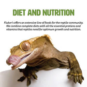Fluker's Buffet Blend Aquatic Formula, Turtle Food with Freeze, Dried Shrimp, Mealworms, and Vitamin Enriched Pellets, 7.5 oz