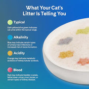 PrettyLitter Health Monitoring Cat Litter, Unscented, 2-Pack, 6 lb. Bags | Up to 2 Months Supply, Non-Clumping, Advanced Odor Control, Automatic Litter Box Compatible, Color Changing Silica Crystals