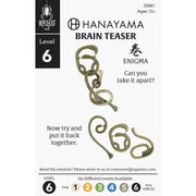 BePuzzled | Enigma Hanayama Metal Brainteaser Puzzle Mensa Rated Level 6, for Ages 12 and Up