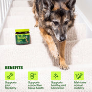 Wuffes Advanced Hip & Joint Chews for Large Breed Dogs, Vet Recommended, Glucosamine, Chondroitin, MSM, Green-Lipped Mussel, Hyaluronic Acid & Omega-3s. Supports Mobility & Flexibility. 30 Pork Chews