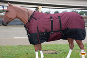 HILASON 1200D Waterproof Winter Turnout Horse Blanket