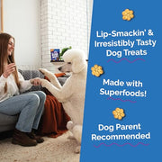 Fruitables Baked Dog Treats, Low Calorie Treats, Pumpkin & Blueberry, 12oz