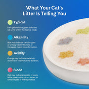 PrettyLitter Health Monitoring Cat Litter, Unscented, 2-Pack, 6 lb. Bags | Up to 2 Months Supply, Non-Clumping, Advanced Odor Control, Automatic Litter Box Compatible, Color Changing Silica Crystals