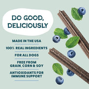 Shameless Pets Blueberry & Mint Dental Chews for Dogs, 8 Chews | Dental Chews for Dogs, Dog Teeth Cleaning Treats with Immune Support