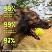Wuffes Advanced Hip & Joint Chews for Large Breed Dogs, Vet Recommended, Glucosamine, Chondroitin, MSM, Green-Lipped Mussel, Hyaluronic Acid & Omega-3s. Supports Mobility & Flexibility. 30 Pork Chews