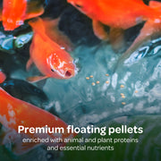 Kaytee Koi's Choice Floating Fish Food for Koi, Goldfish & Pond Fish | Supports growth. Fish food pellets for all seasons. 35% protein, fish meal first, highly digestible koi food