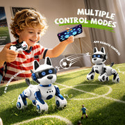 Smart Robot Dog, 2.4GHz Remote Control Robot Dog Toys For Kids 5-7 8-12