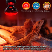 MIXJOY 100W Infrared Heat Lamp Bulbs, 2 Pack Reptile Infrared Heat Emitter Red Heat Lamp Bulbs Infrared Basking Light Bulbs for Reptiles, Bearded Dragon, Lizard, Tortoise, Chickens, Pets