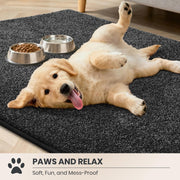 PURRUGS Dirt Trapping Indoor Door Mat, 50 x 80 cm, Charcoal | Machine Washable, Non-Slip, Waterproof TPR Backing, Super Absorbent, Low Profile, Entryway Rug for Muddy Paws and Shoes