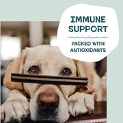 Shameless Pets Blueberry & Mint Dental Chews for Dogs, 8 Chews | Dental Chews for Dogs, Dog Teeth Cleaning Treats with Immune Support