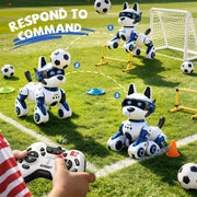 Smart Robot Dog, 2.4GHz Remote Control Robot Dog Toys For Kids 5-7 8-12