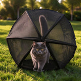 360°Panoramic Rolling Cat Playpen Cat Hamster Ball for Outside | Foldable Breathable Mesh Pet Playpen with Zipper, Portable Lightweight Ball Cage for Indoor Cats, Travel, Lawn & Backyard