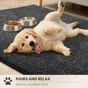PURRUGS Dirt Trapping Indoor Door Mat, 50 x 80 cm, Charcoal | Machine Washable, Non-Slip, Waterproof TPR Backing, Super Absorbent, Low Profile, Entryway Rug for Muddy Paws and Shoes