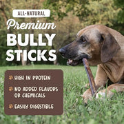 Mighty Paw 12" Bully Sticks for Dogs - Large, Medium and Small Dog Chew | Single Ingredient, Grass-Fed, Low Odor, 5 pk, High Protein, Boredom Buster