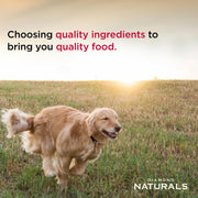 Diamond Naturals Skin & Coat Puppy, Adult & Senior Dry Dog Food Salmon 30lb | Real Salmon & Potato | Omega Fatty Acids Help Support Healthy Skin & Shiny Coat | Guaranteed Probiotics & Superfoods