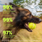 Wuffes Advanced Hip & Joint Chews for Large Breed Dogs, Vet Recommended, Glucosamine, Chondroitin, MSM, Green-Lipped Mussel, Hyaluronic Acid & Omega-3s. Supports Mobility & Flexibility. 30 Pork Chews