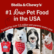 Stella & Chewy's Freeze-Dried Raw Beef Meal Mixers- Dog Food Topper and Mixer - Made with 95% Grass-Fed Beef, Organs & Bone - Perfect for Picky Eaters - Grain-Free - 8 oz